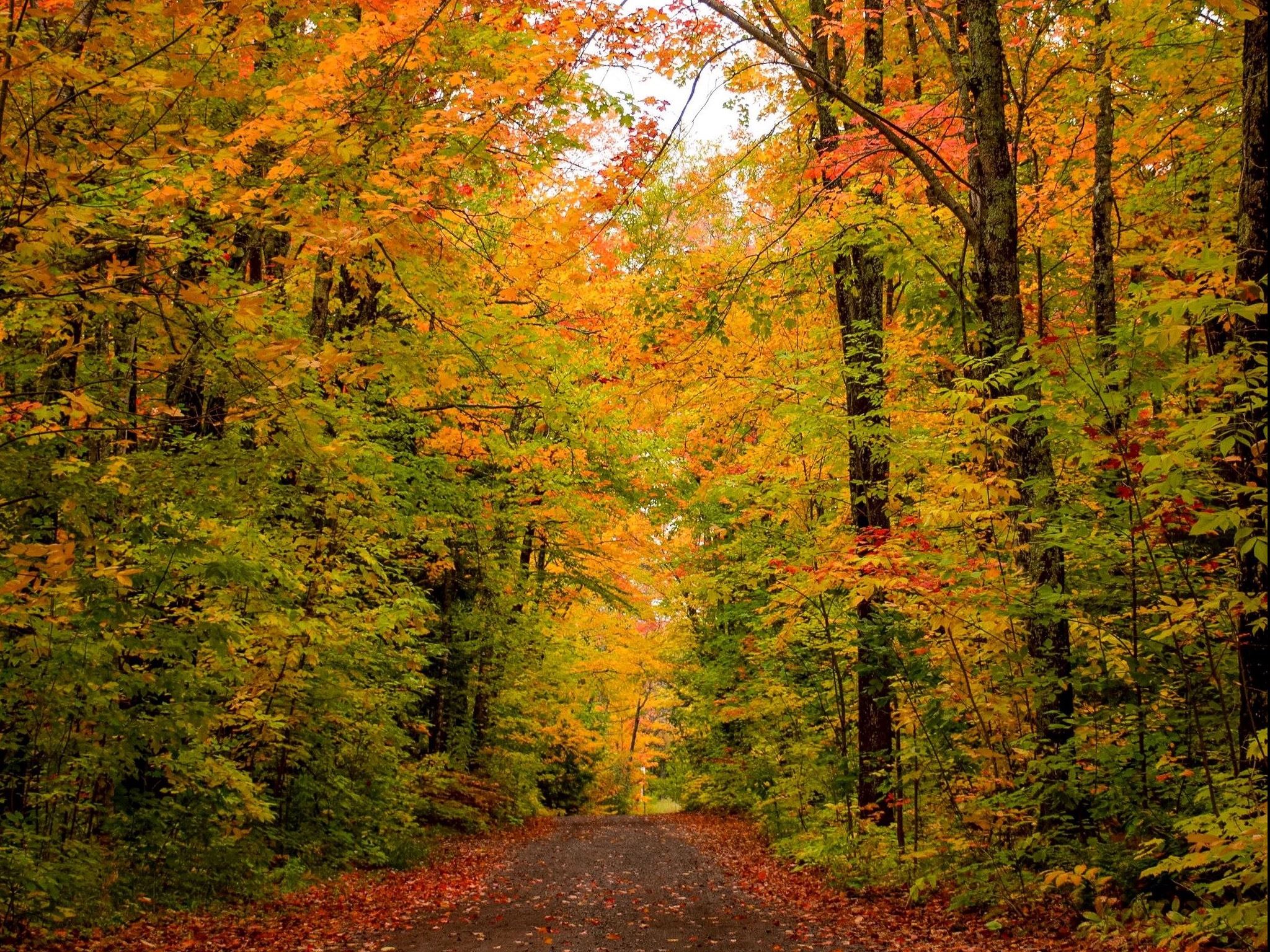 545759255_1196667855837856_8486467274405743219_n