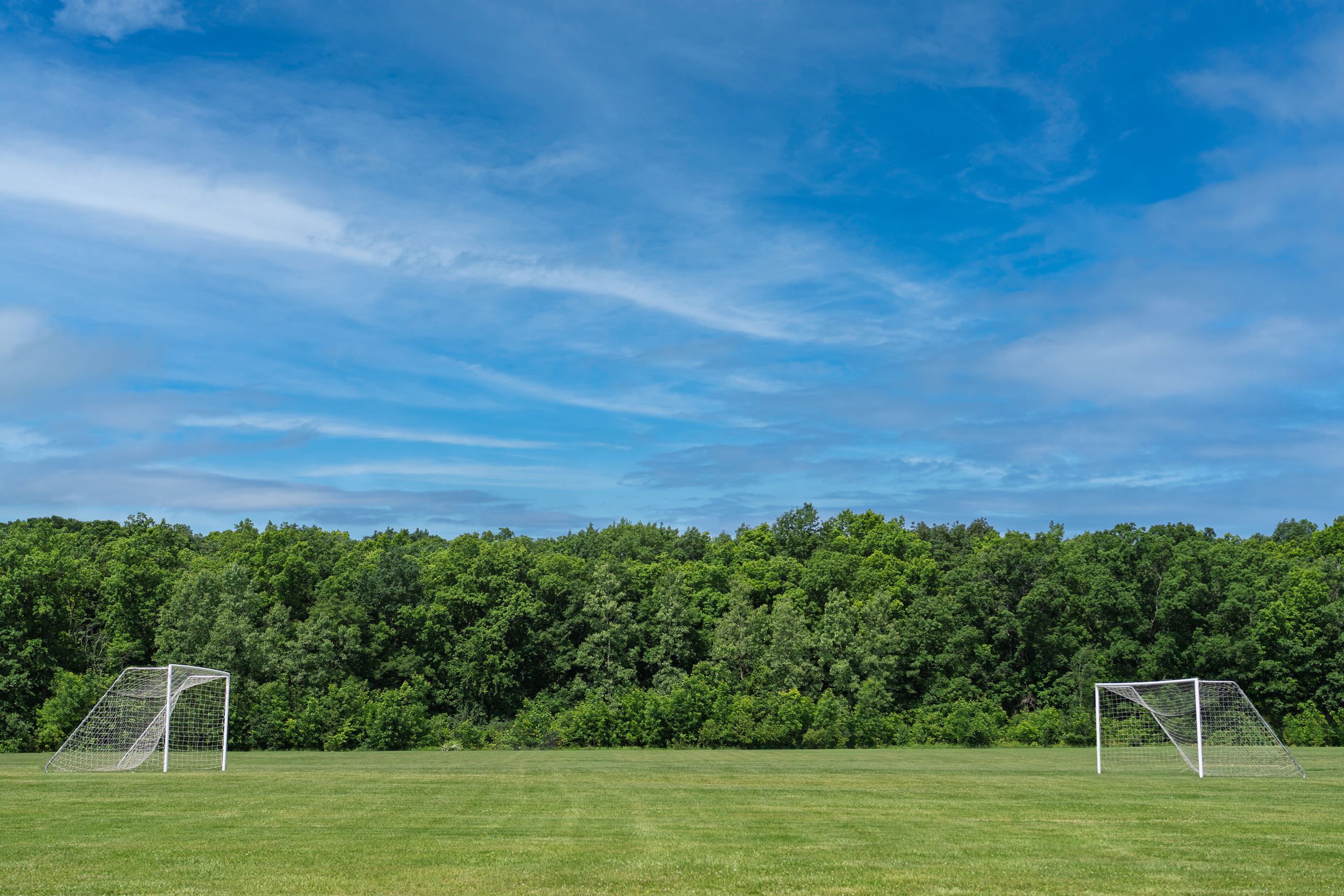 Soccer Field at Bicentennial Park with a goal on either end of the field